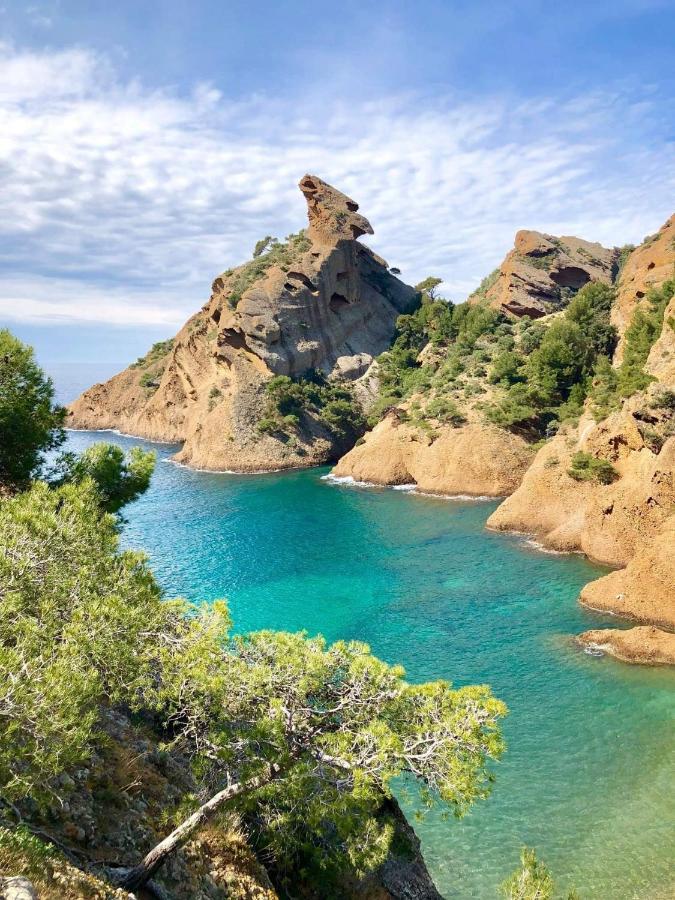 Chambre D'Hotes Le Secadou La Ciotat Eksteriør billede